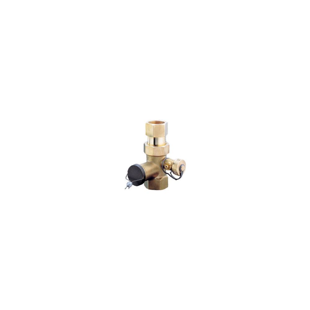 Oventrop Expa-Co Vanne à chapeau DN 25, 1" filetage intérieur, PN 10, plombable, laiton, 1089052