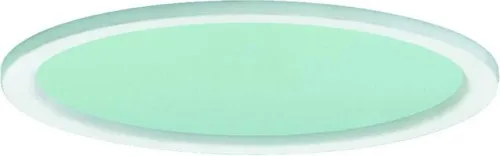 Disque microprismatique Ridi-Leuchten DR150-MPS-G-D-W