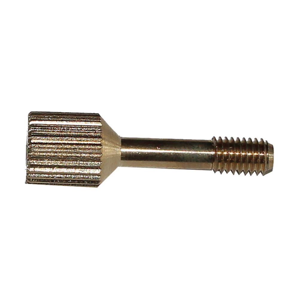Vis à oreilles M5x22 SW4 IS PHE pour chaudières à gaz Wolf (réf. 349048599)