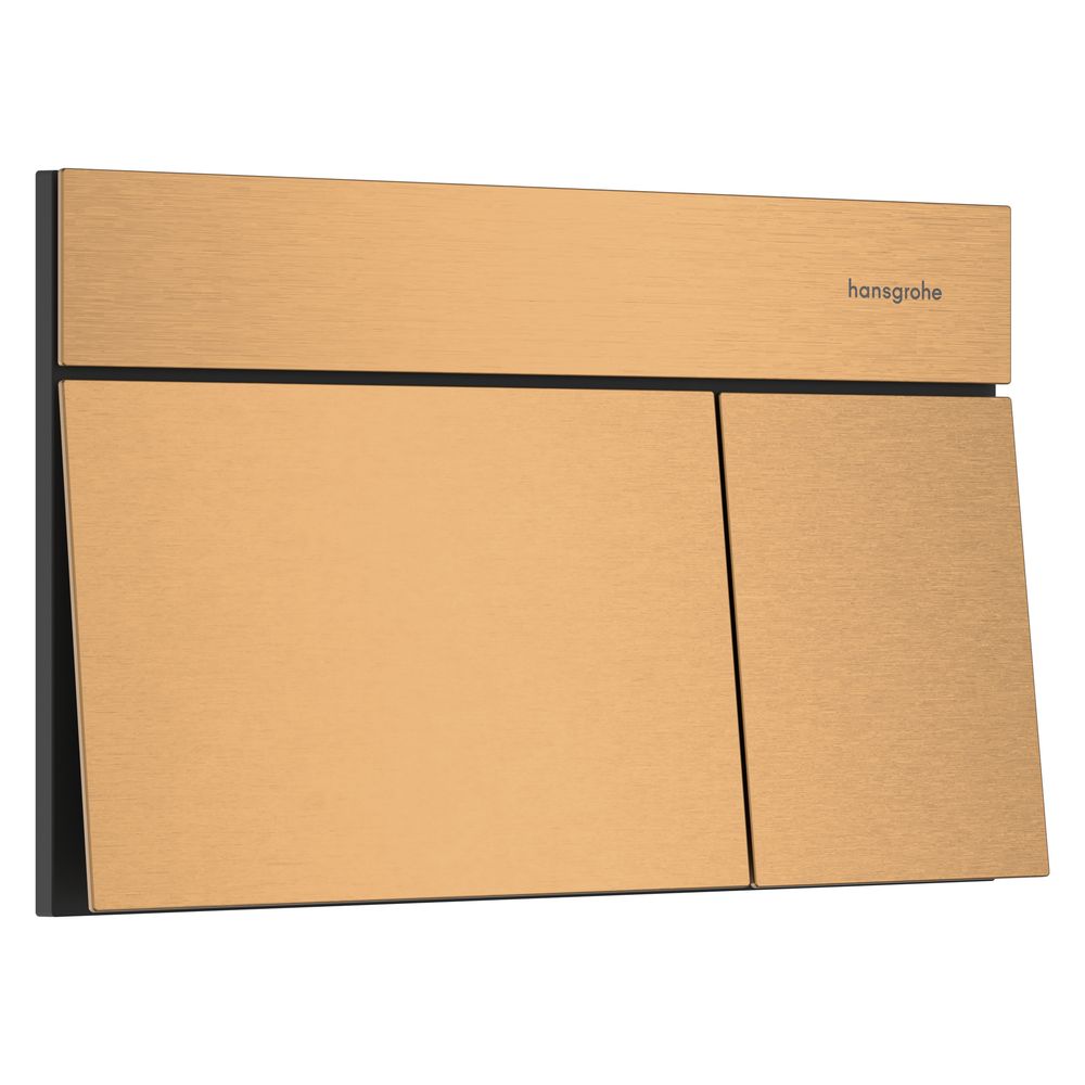 Hansgrohe iFrame Element E plaque de commande pour chasse d'eau à double commande, métal, mécanique, bronze brossé