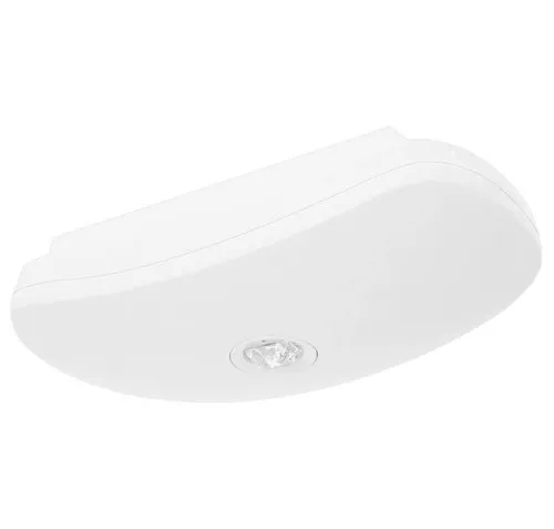 Fischer LED-Sicherheitsleuchte BSU329M