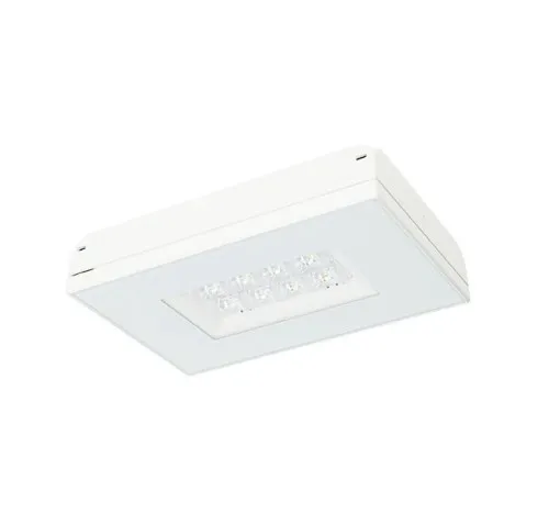 Fischer Projecteur LED de sécurité MXDE129I2