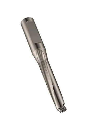 Dormer Porte-foret à tête interchangeable H855 longueur totale 306,5 mm HSS