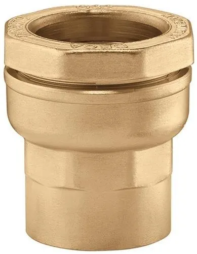 Raccord fileté CA IG 32 mm x 1" IG pour tube en PE