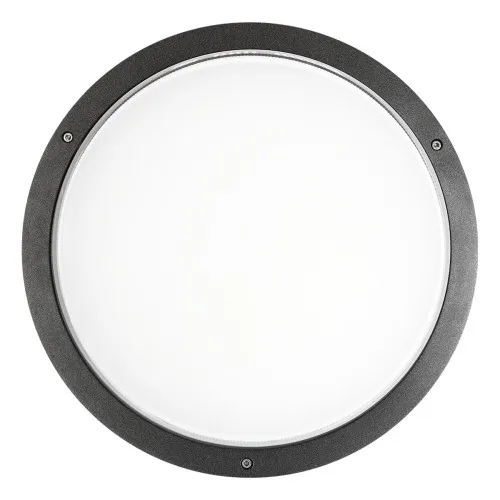 Spittler LED-Wand-u.Deckenleuchte 304270