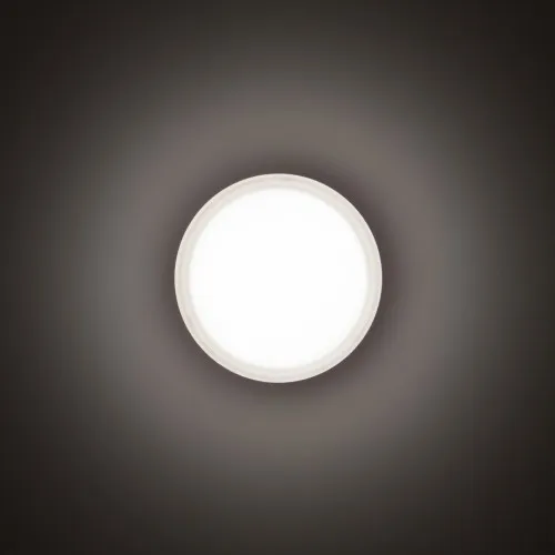 Applique LED murale/au plafond Spittler 3109457