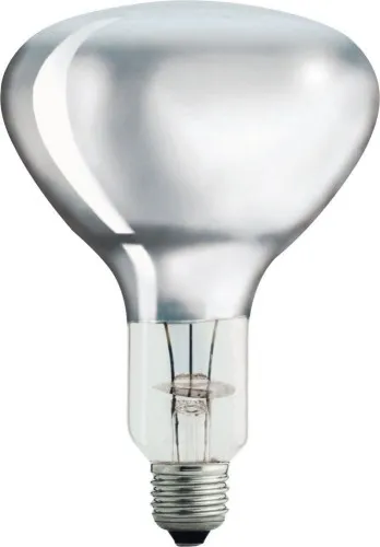 Lampe à réflecteur Philips Lighting R125 IR