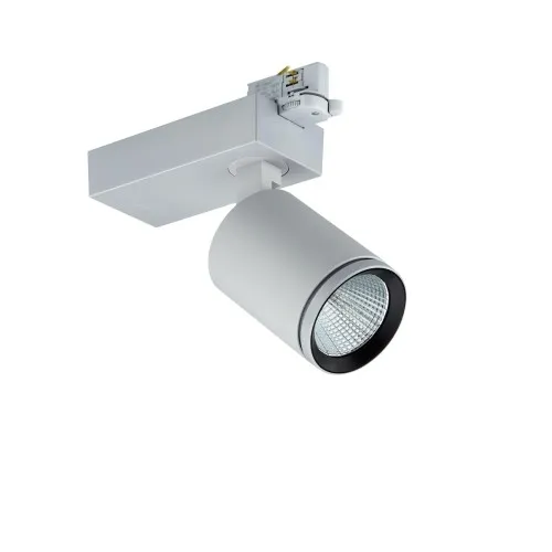 Philips Lighting Projecteur LED sur rail ST770T 39S #97711500