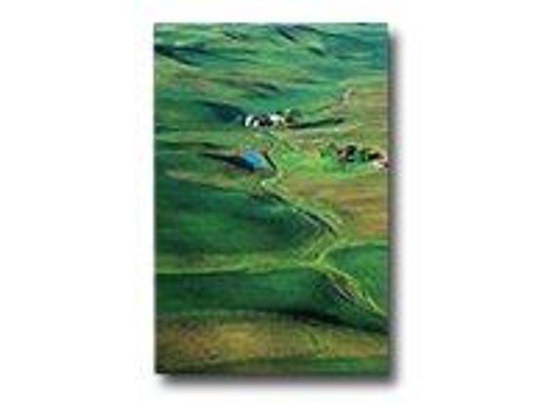 Papier photo premium satiné Epson - A3 (297 x 420 mm) - 251 g/m² - 20 feuilles - pour Stylus Pro 11880, Pro 3880, Pro 48X