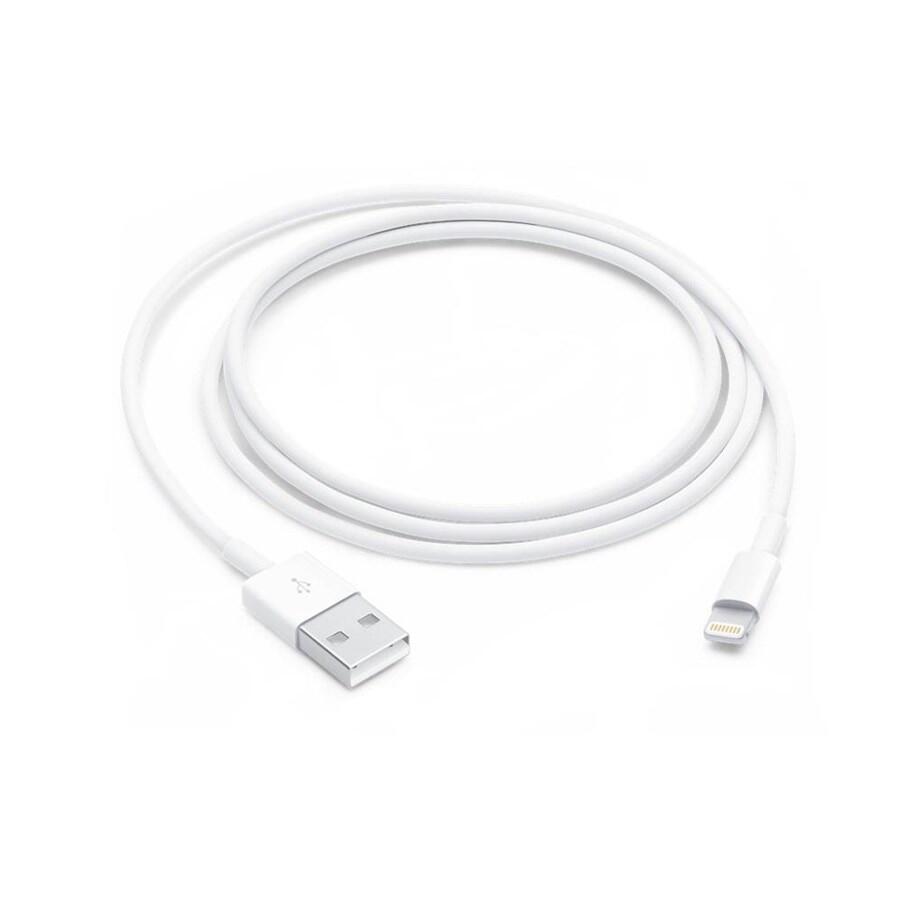 Câble Apple Lightning vers USB 1 m, blanc