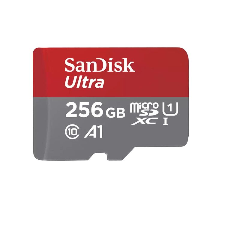 Carte microSDXC SanDisk Ultra pour Chromebooks 256 Go + adaptateur SD 150 Mo/s, A1, UHS-I U1, Class10