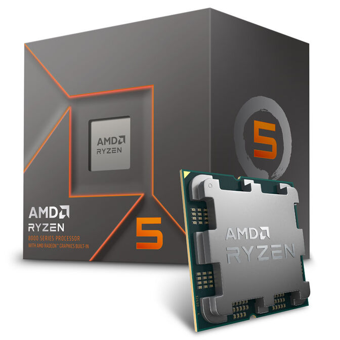 AMD Ryzen 5 8500G 5,0 GHz (Phoenix) AM5 - version boîte, avec ventilateur