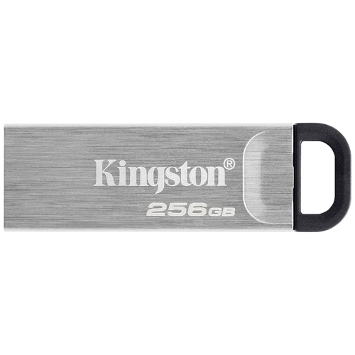 Kingston DataTraveler Kyson - Clé USB 256 Go USB Type-A 3.2 Gen 1, argent
