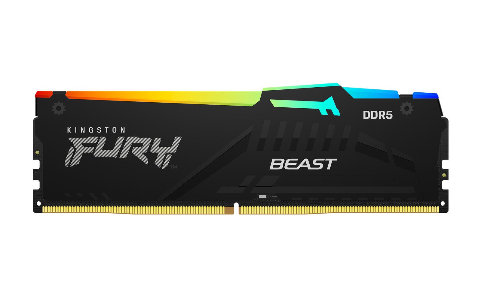 Kingston FURY™ Beast RGB DDR5 Mémoire 16 Go 5600 MT/s PC5-44800 - 1,25 V - non tamponnée - ECC On-Die