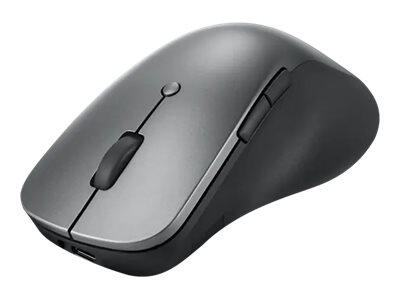 Souris sans fil professionnelle Lenovo grise