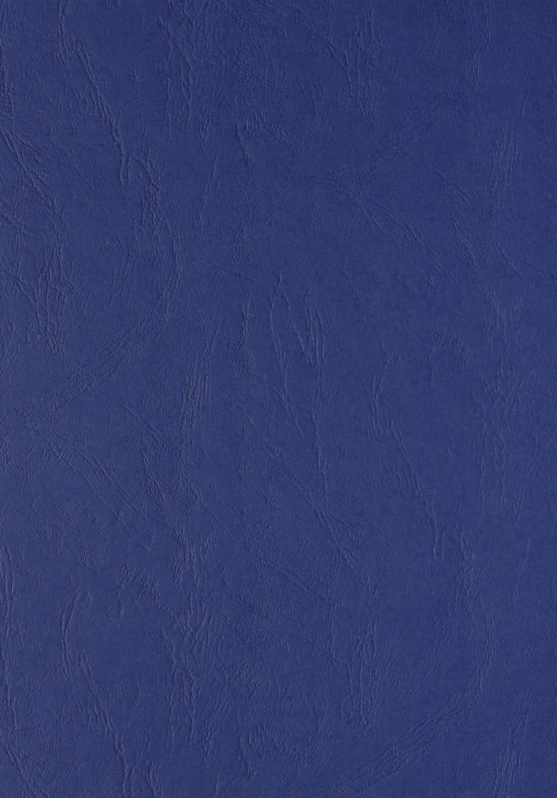 LMG Dos pour classeurs DIN A4 240 g/m² bleu foncé 1 boîte = 100 pièces — lot de 100 pièces