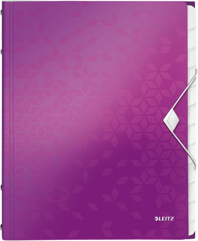 Dossier de classement LEITZ DIN A4 12 compartiments violet