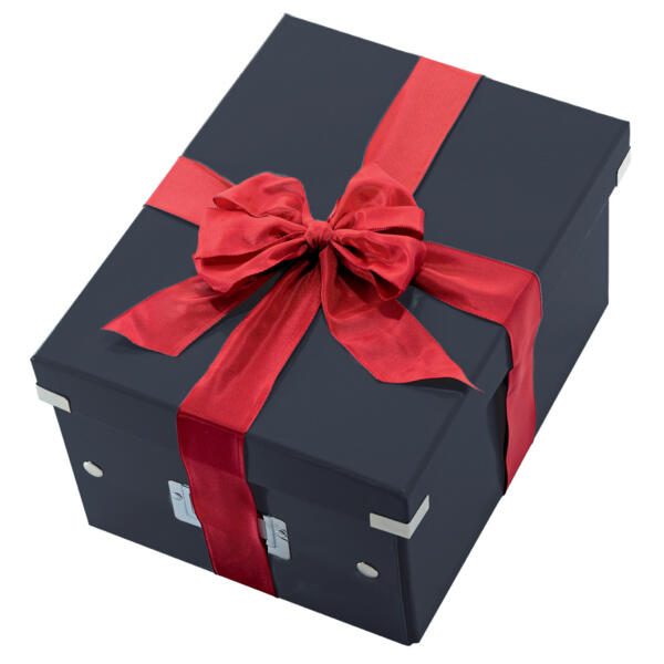 Boîte de rangement LEITZ Click & Store 7,4 l - 21,6 x 28,2 x 16,0 cm noir