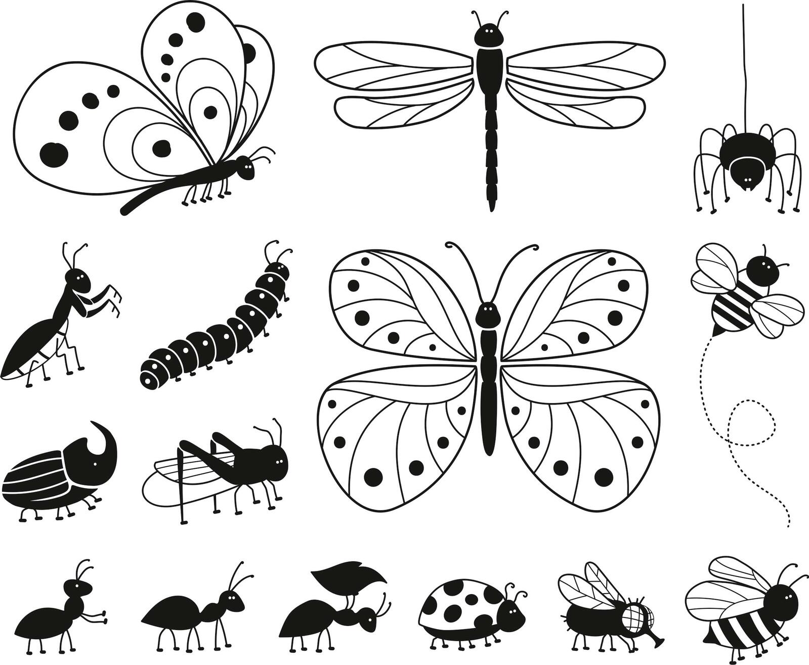 HEYDA Set de tampons à motifs - Insectes