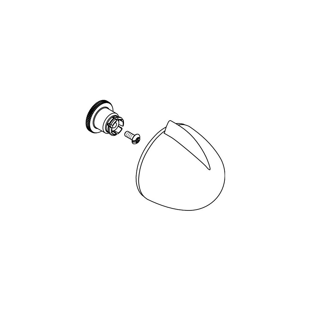 Hansgrohe AXOR Poignée pour Allegroh Novo Quattro, Chromé, 36993000