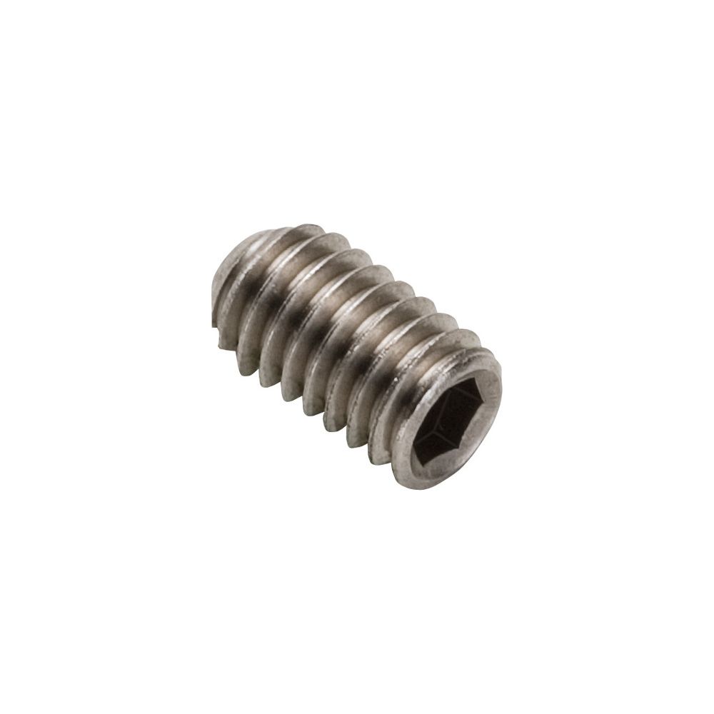 Hansgrohe vis sans tête M6x10 DIN 916, 96029000