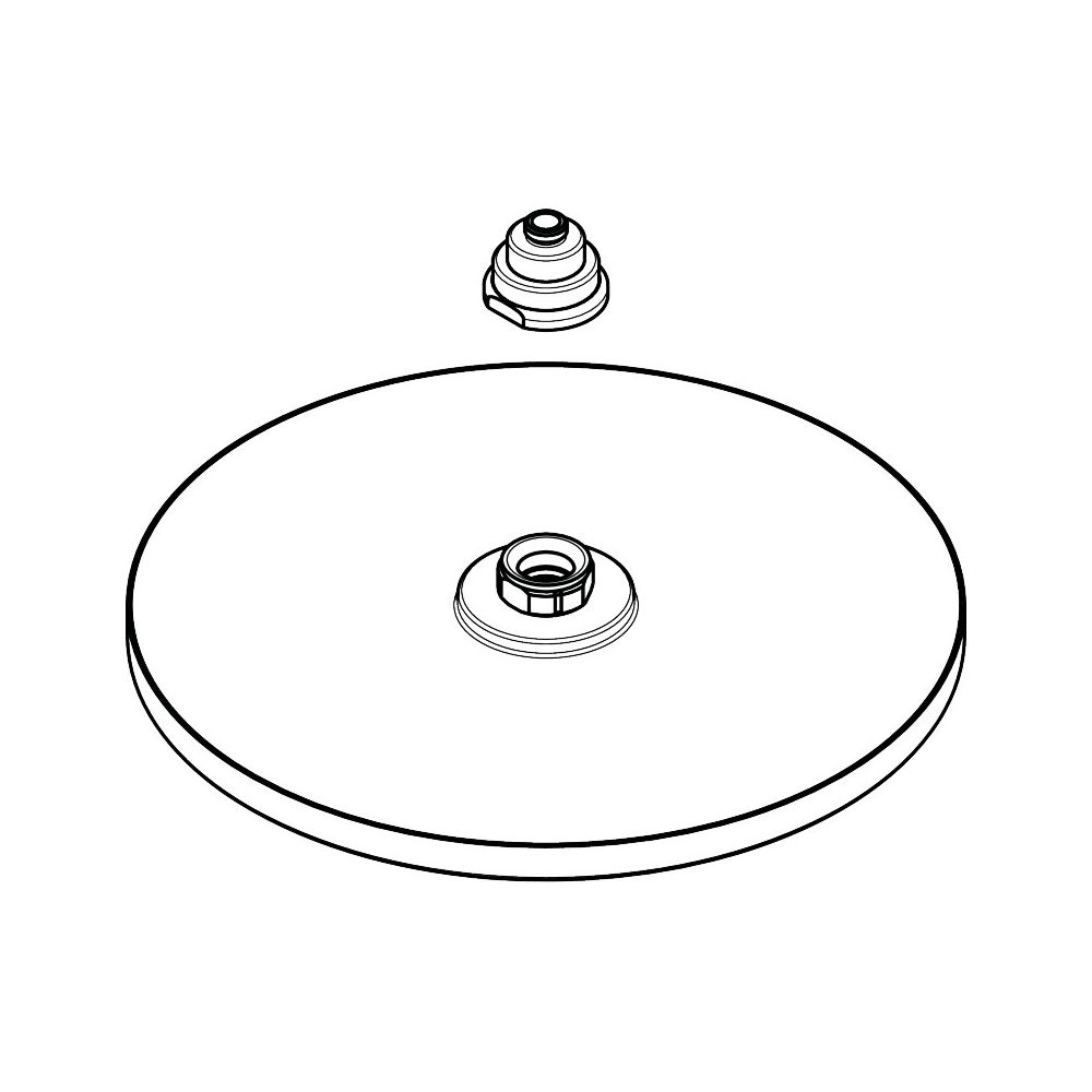 Pommeau de douche Hansgrohe Raindance 240 mm pour colonne de douche Raindance/Connect, 98855000