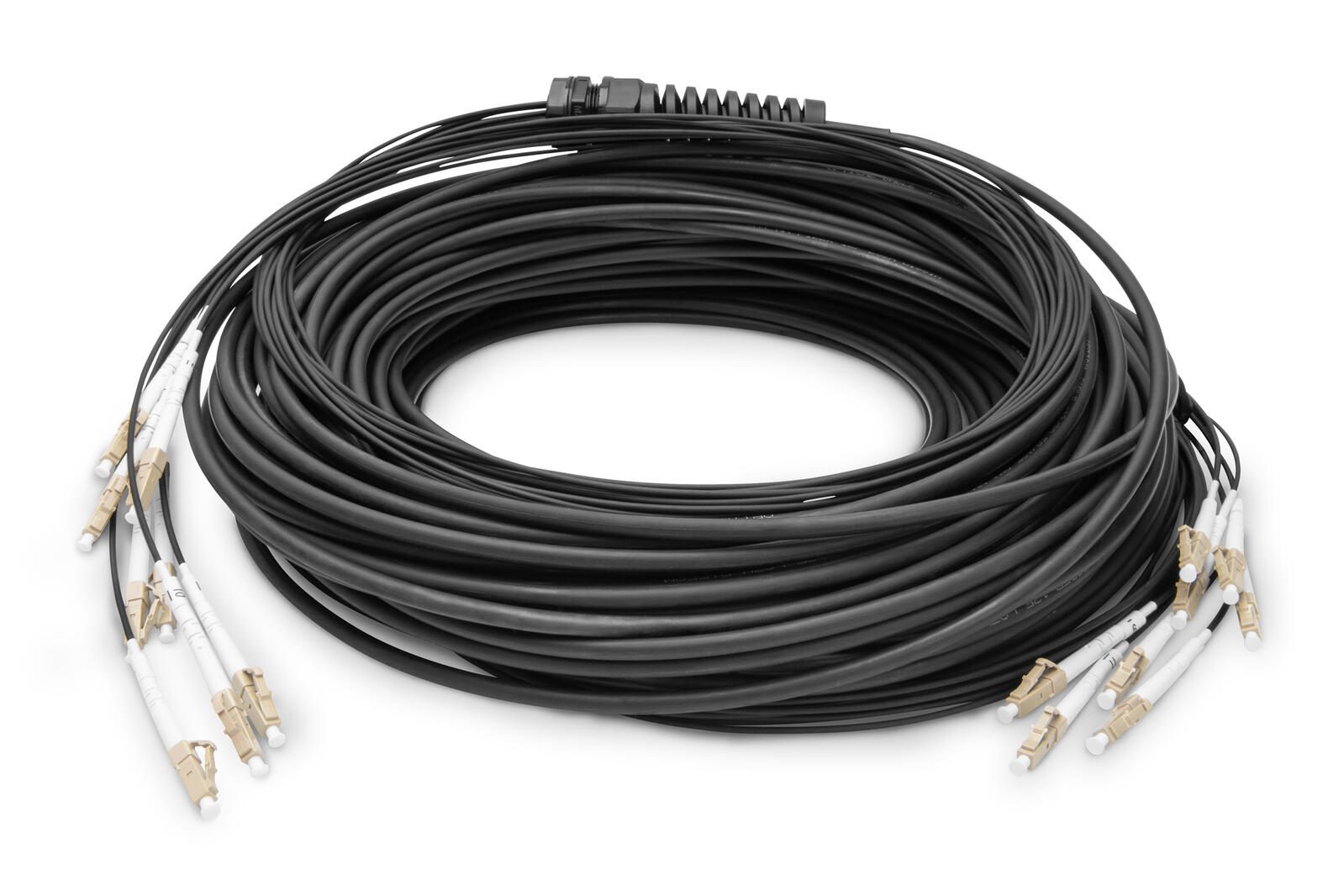 Câble de raccordement universel préconfectionné en fibre optique Digitus, Multimode OM4, 8 fibres, LC/UPC - LC/UPC