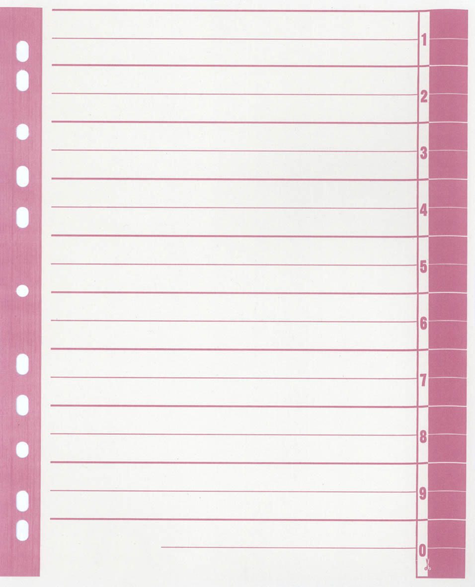 Feuille de séparation RC carton 9541103100 A4 chamois/rouge 100 pcs/paquet — lot de 100