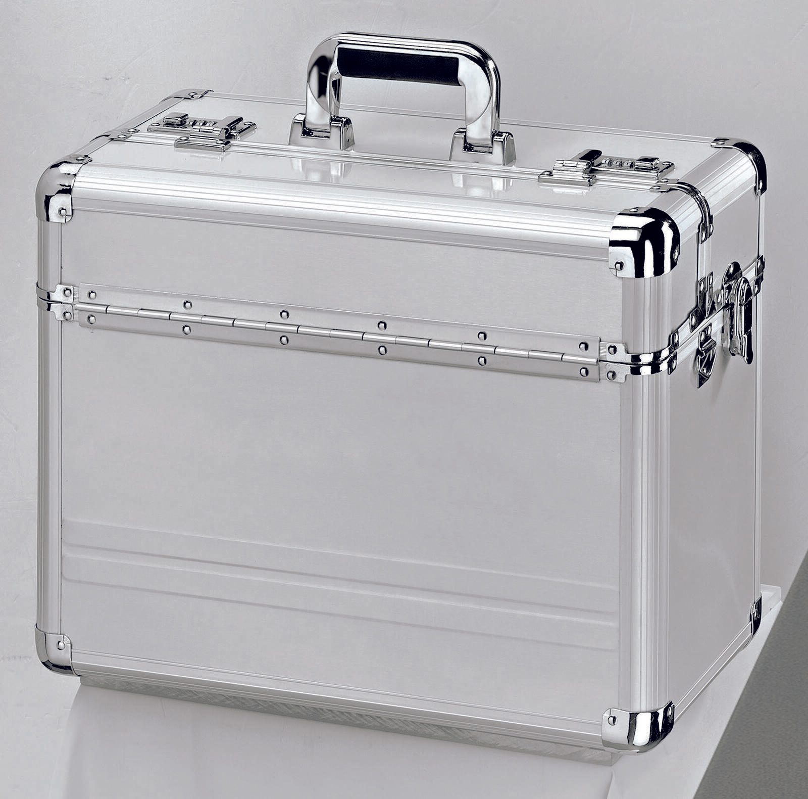 ALUMAXX Valise pilote BETHA argent jusqu'à 43,2 cm (17 pouces)