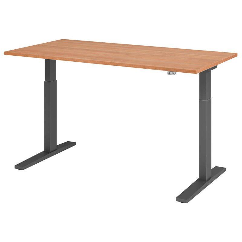 HAMMERBACHER VXMKA16/N/G Bureau électrique réglable en hauteur 70,0 - 120,0 cm - noyer / gris