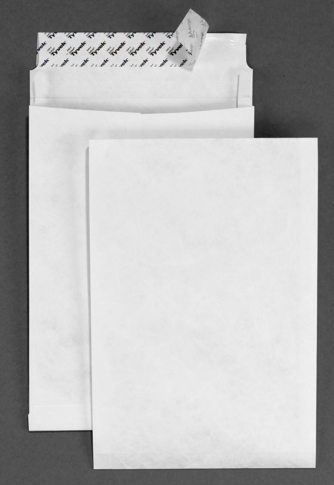 BONG Pochette Tyvek® Expander pliable DIN B4 blanc 1 boîte = 100 unités — lot de 100 pièces
