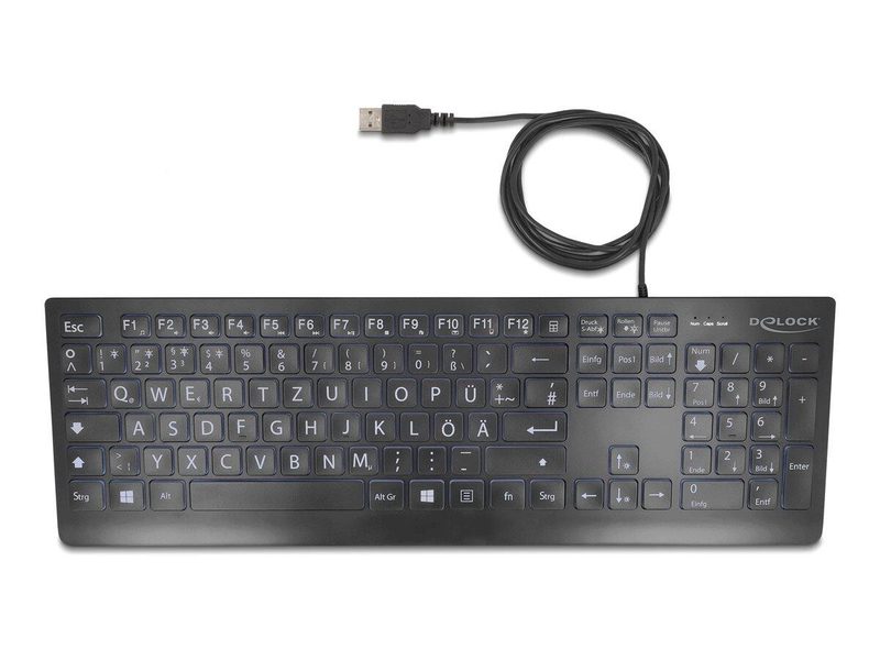 DeLOCK 12170 Clavier USB universel avec lettres XXL - QWERTZ Allemand - Noir