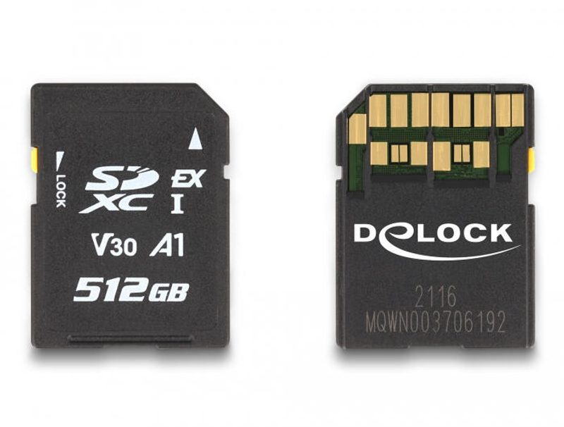 Carte SD Express DeLOCK 512 Go