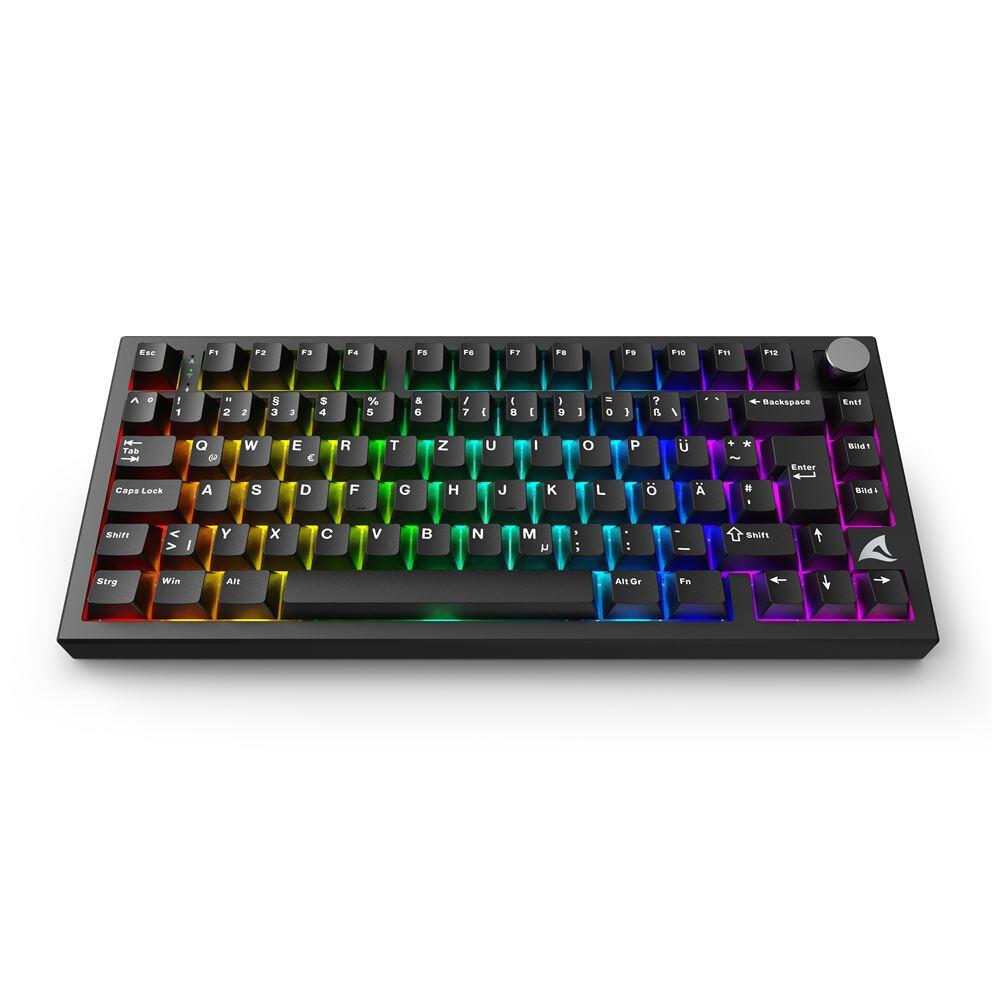 Clavier gaming sans fil Sharkoon Skiller SGK55W TKL 75% noir, disposition DE