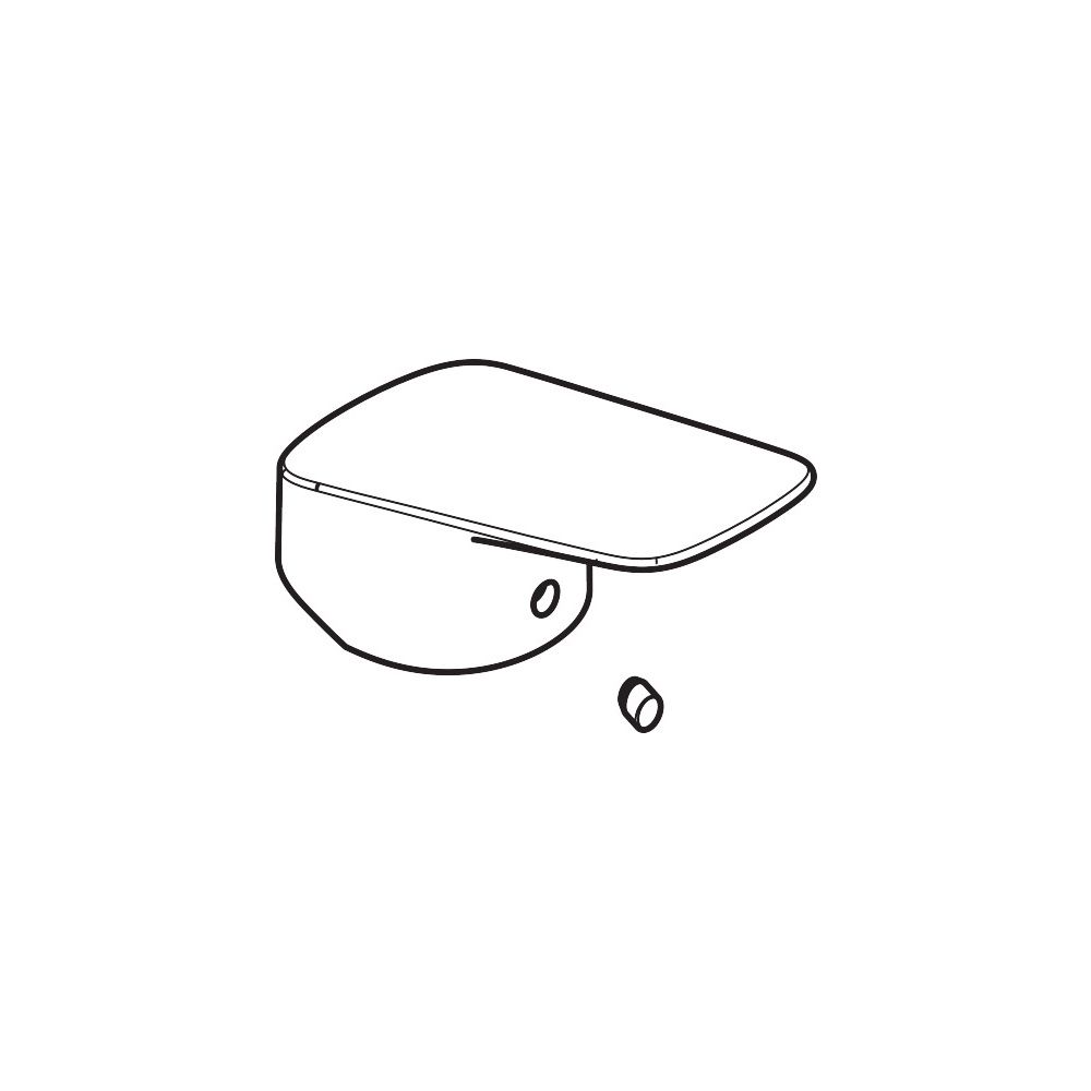 Poignée Hansgrohe pour série Talis E, noir mat, 92666670