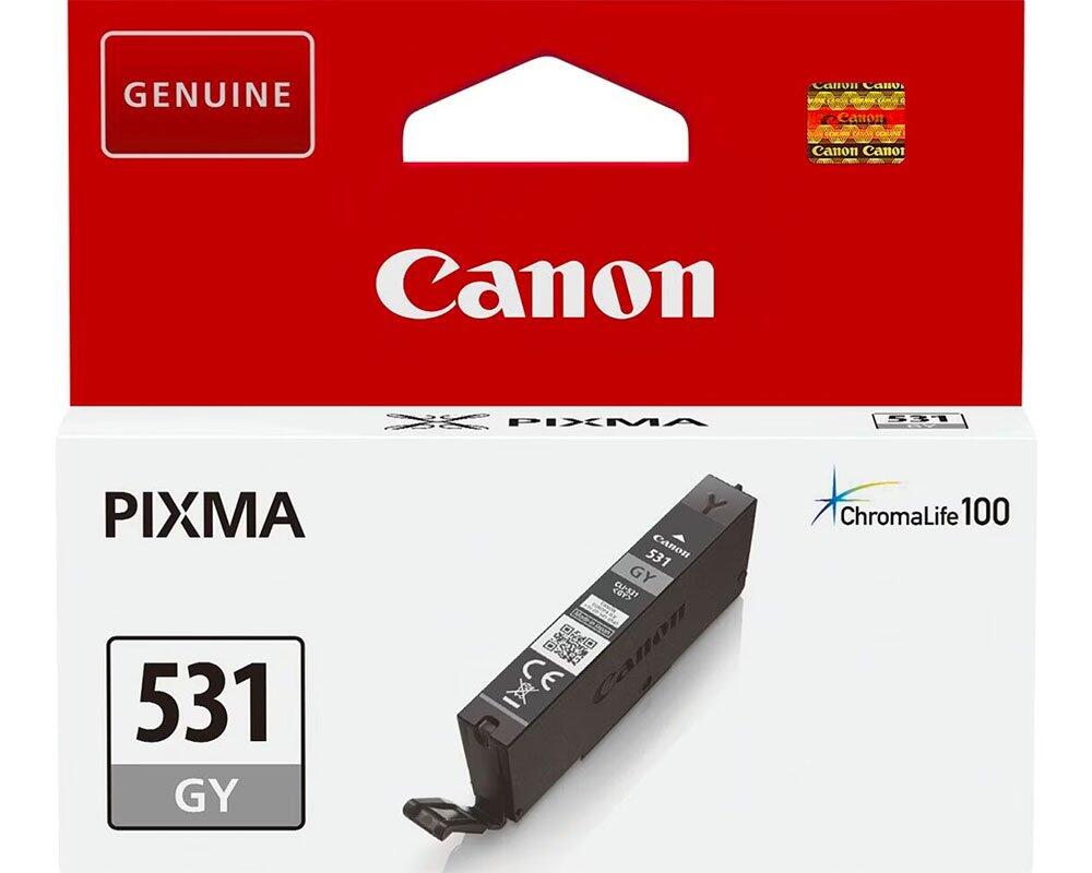 Cartouche d'encre originale Canon CLI-531GY - Gris (6122C001)