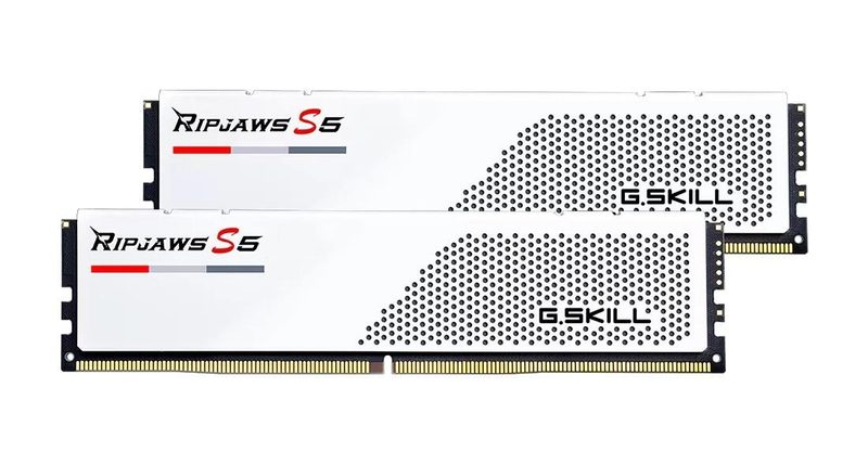 G.Skill Ripjaws S5 Intel 32 Go (2x 16 Go) Kit DDR5 5600 MHz blanc 2x 16 Go CL40 (40-40-40-89) non bufferisé Mémoire vive PC de bureau F5-5600J4040C16GX2-RS5W