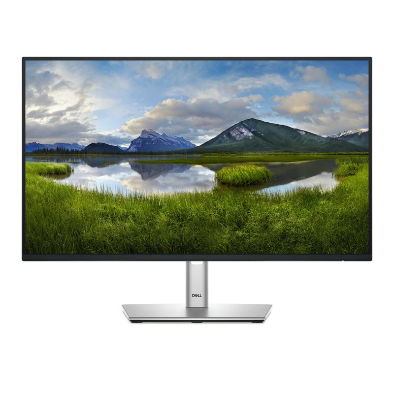 Dell P2425HE Écran 24 pouces (61,0 cm) Full HD, 1920 x 1080, IPS, 8 ms, HDMI, DisplayPort, USB-C