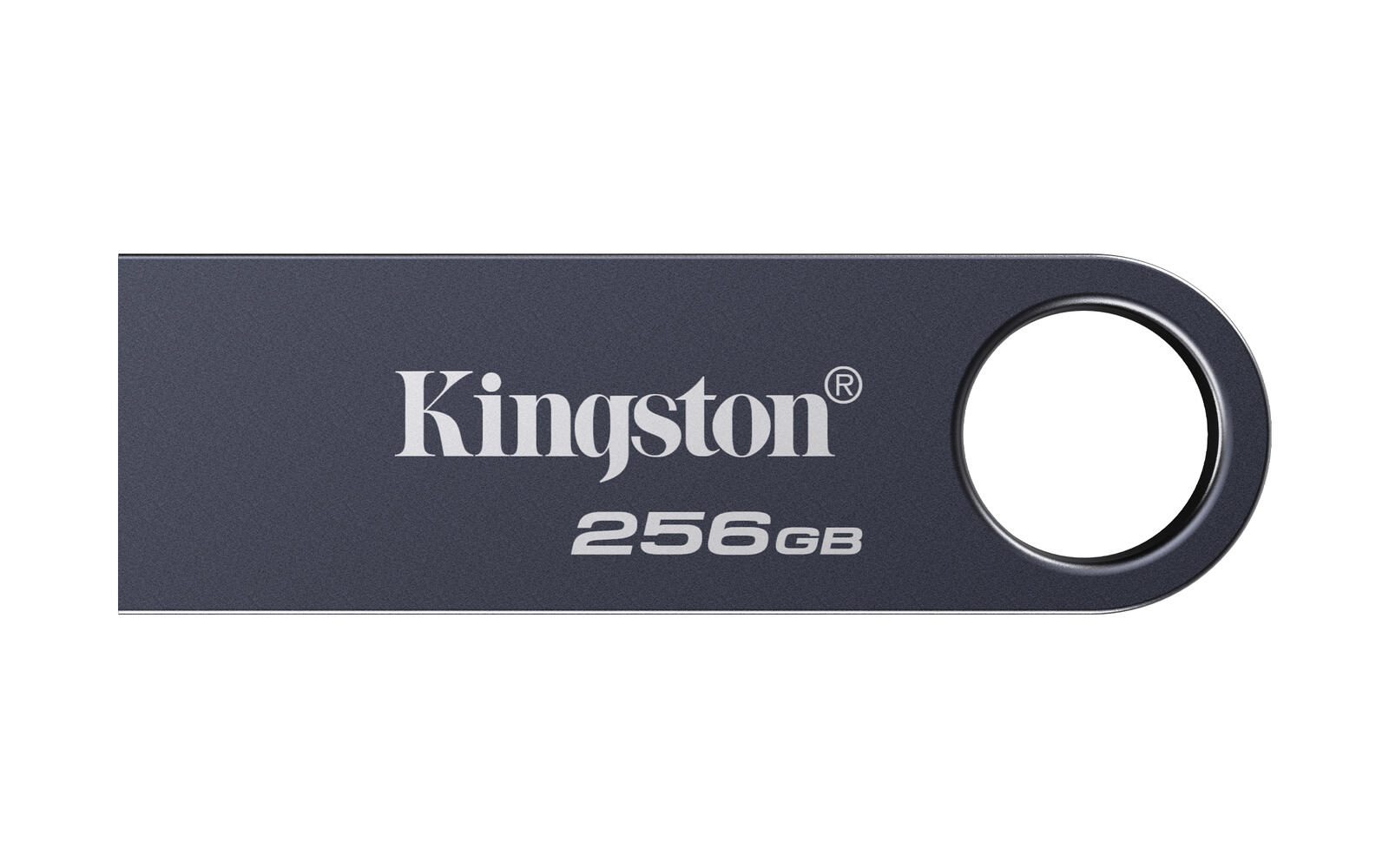 Kingston Technology DataTraveler SE9 G3 Clé USB 256 Go USB Type-A 3.2 Gen 1 (3.1 Gen 1), Nickel foncé