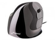 Evoluent VMDM Souris USB pour droitier D Medium