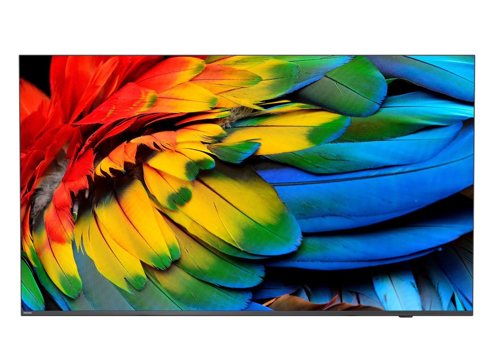 Philips MediaSuite 50HFL6214U/12 - Téléviseur professionnel 126 cm (50") 4K Ultra HD, Android TV, HDMI, USB 2.0, WLAN